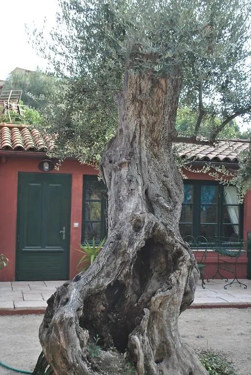 Sous L'Olivier Bed and Breakfast Menton