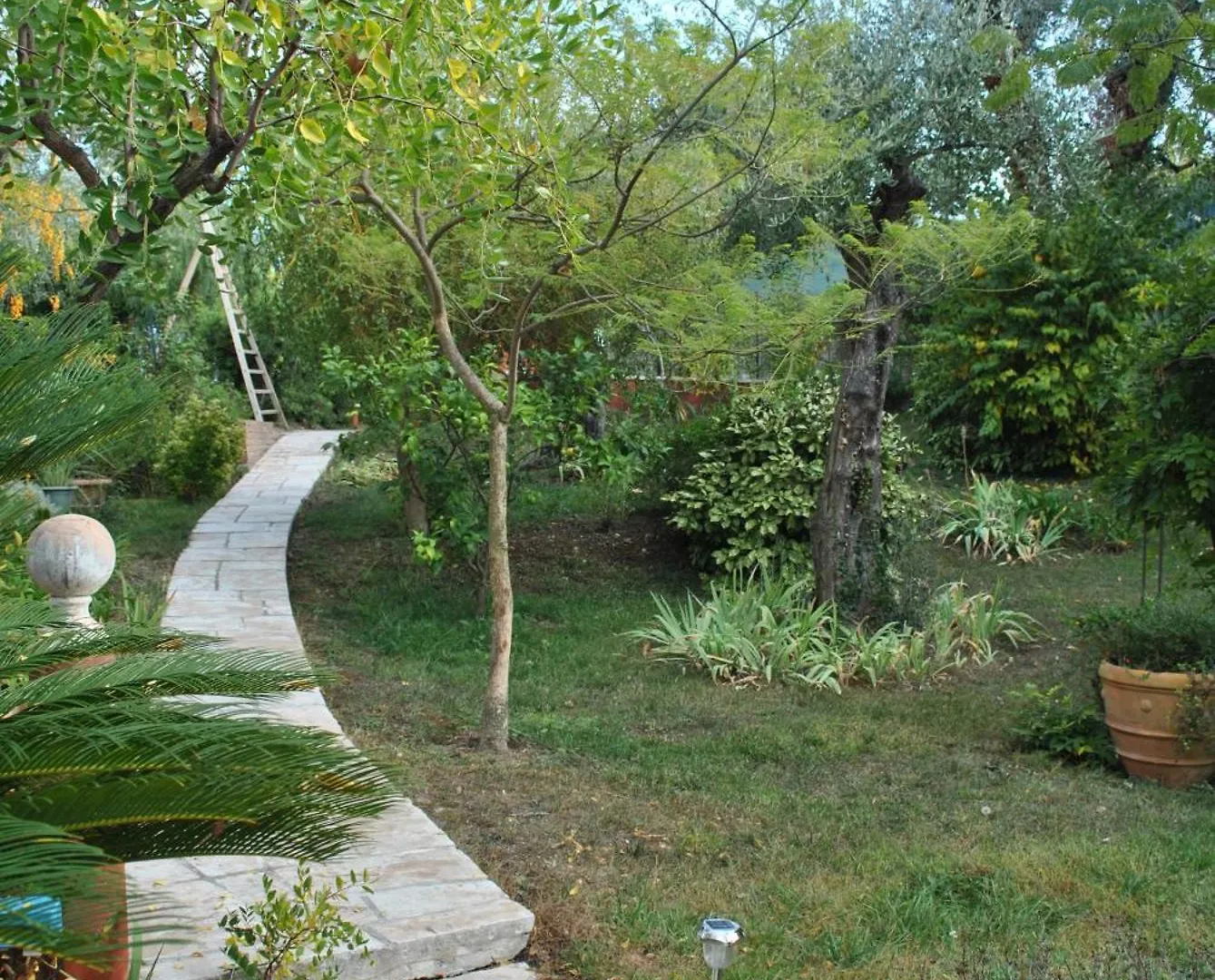 Bed & Breakfast Sous L'Olivier Bed and Breakfast Menton